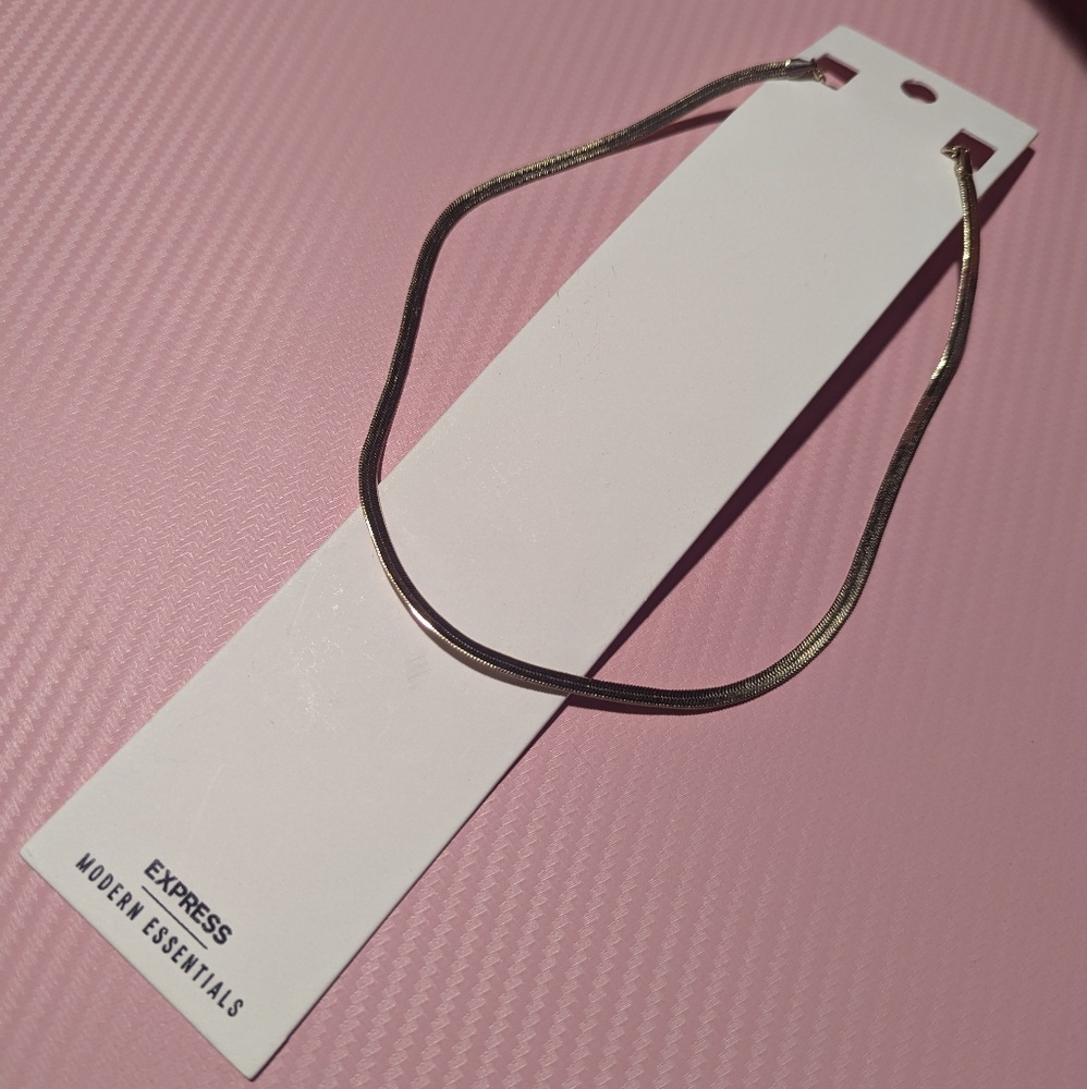 Express Modern Essentials Gold Necklack